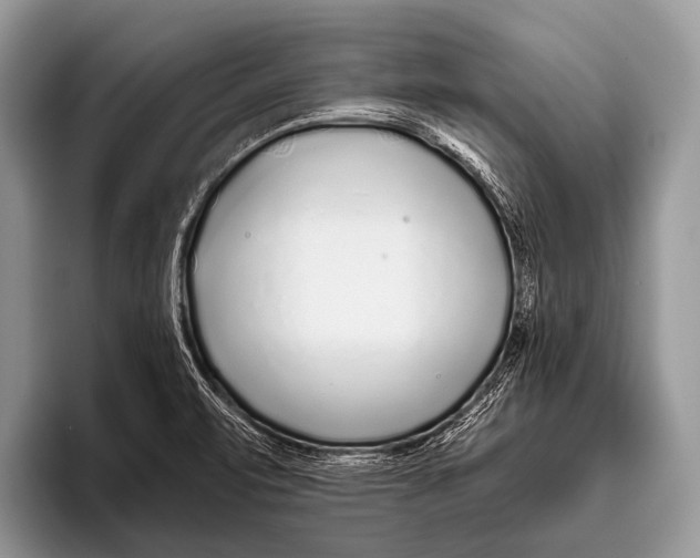 X0000095931471200802081207