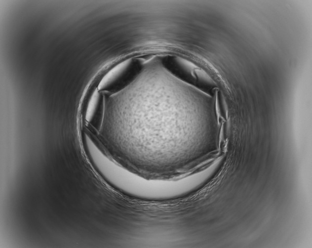 X0000095931472200802081207