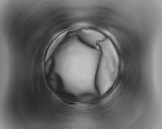 X0000095931473200802081207