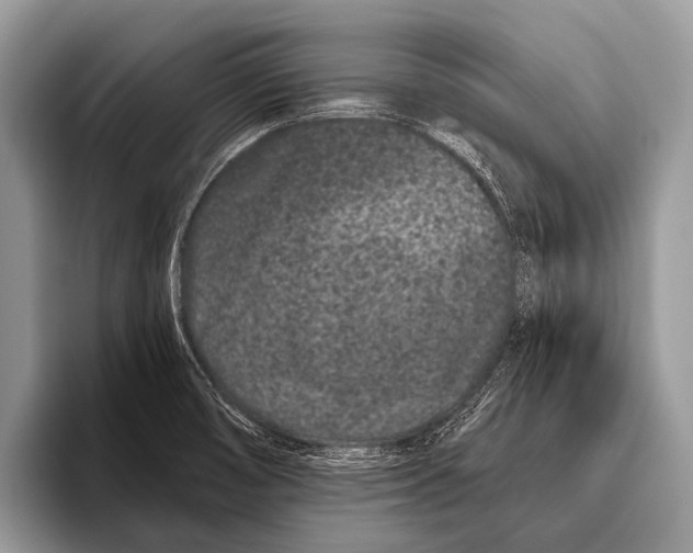 X0000095931474200802081207
