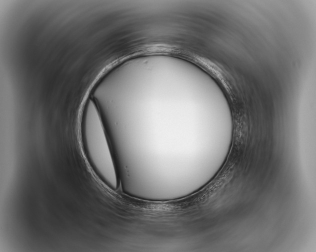 X0000095931475200802081206