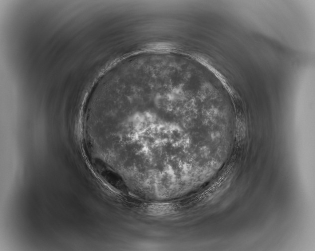 X0000095931477200802081206