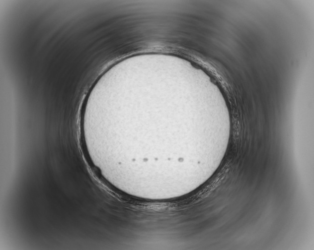 X0000095931479200802081206
