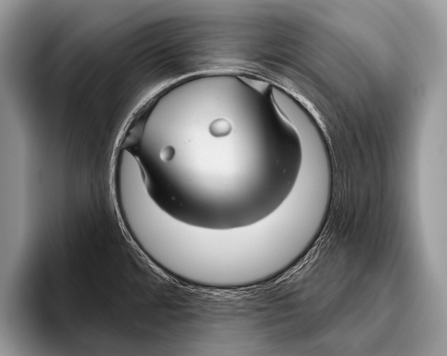 X0000095931480200802081206