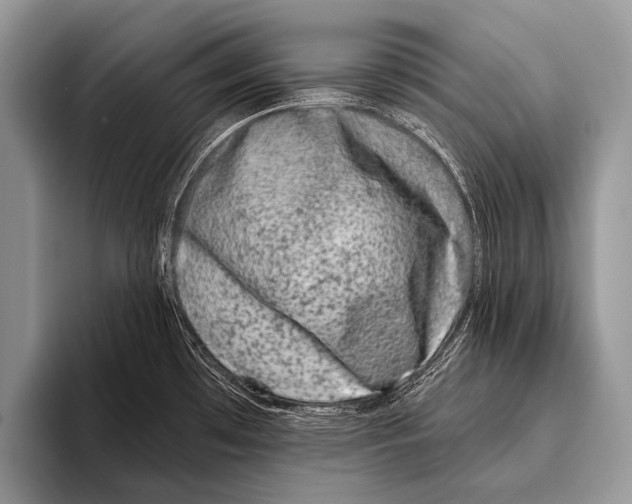 X0000095931481200802081206