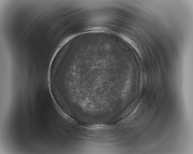 X0000095931482200802081206