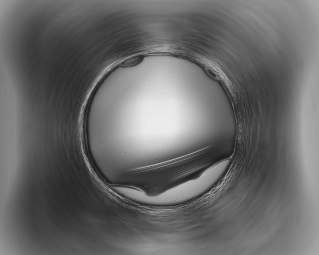 X0000095931483200802081206