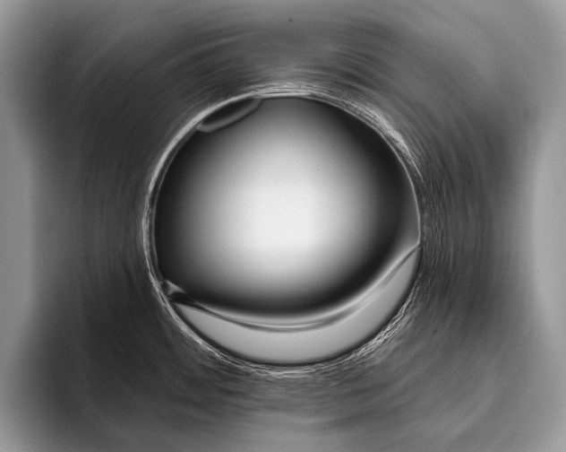 X0000095931484200802081206