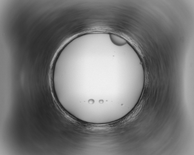 X0000095931486200802081206