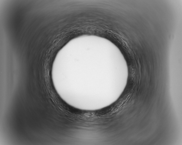 X0000095931489200802081206