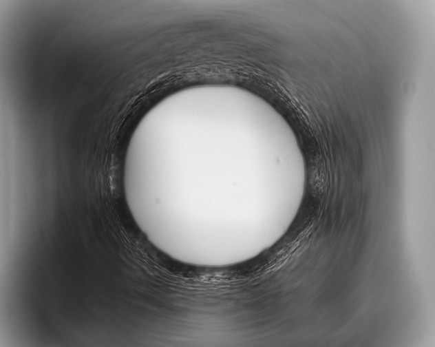 X0000095931490200802081206