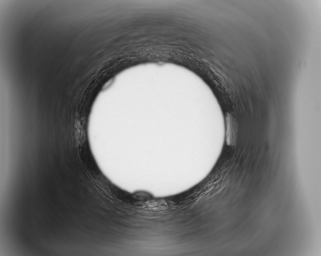 X0000095931491200802081206
