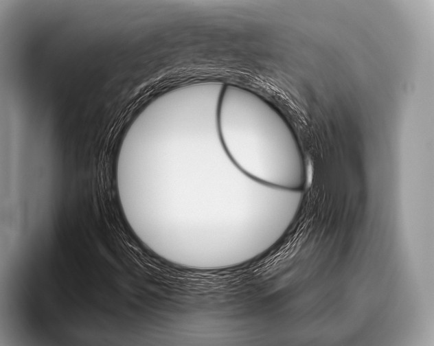 X0000095931492200802081206