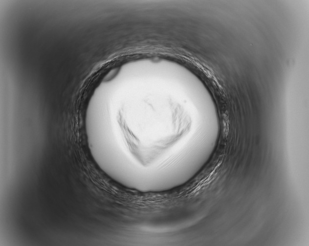 X0000095931494200802081206