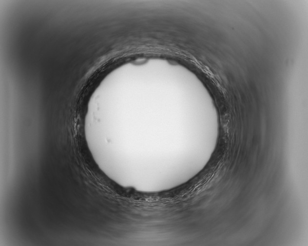 X0000095931495200802081206
