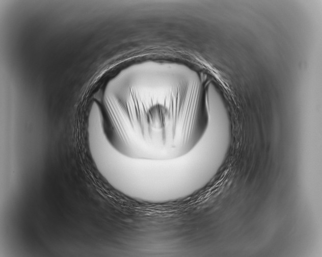 X0000095931496200802081206