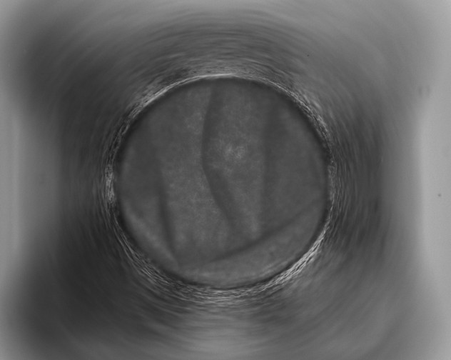 X0000095931497200802081206