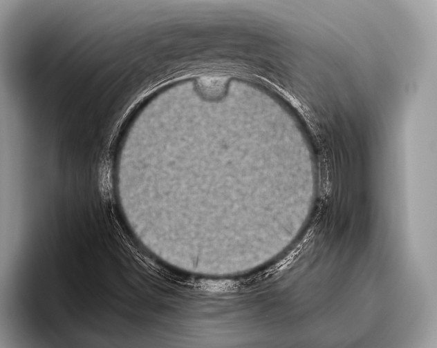 X0000095931498200802081206