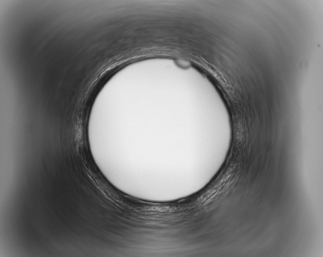 X0000095931499200802081206