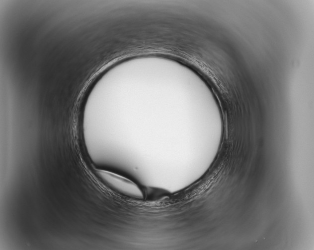 X0000095931500200802081206
