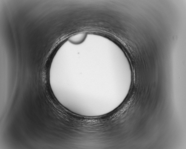X0000095931501200802081206