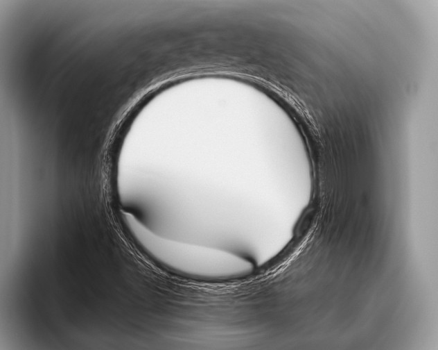 X0000095931502200802081206