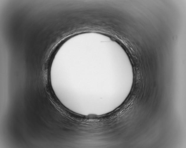 X0000095931503200802081206