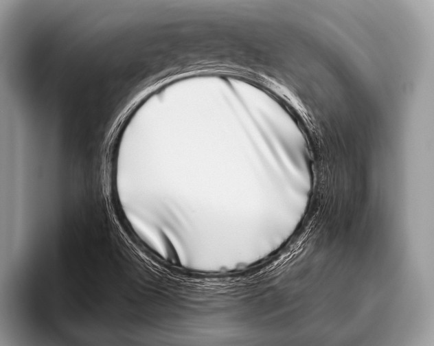 X0000095931504200802081206