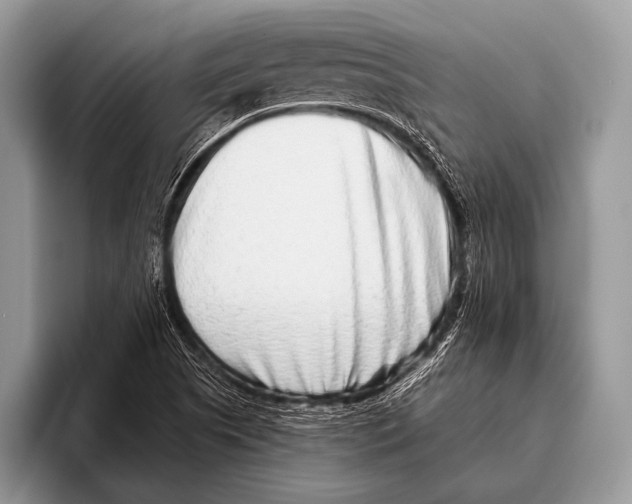X0000095931505200802081206