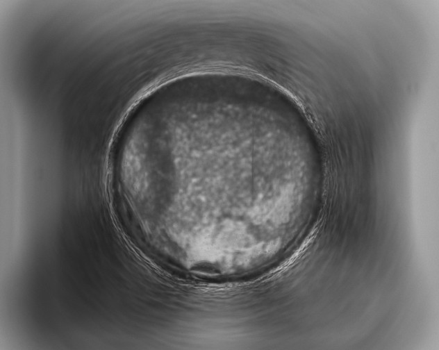 X0000095931506200802081206