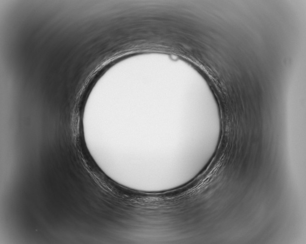 X0000095931507200802081206