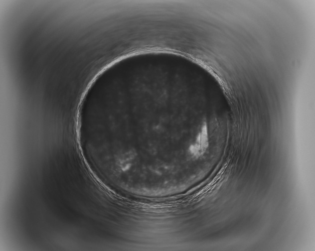 X0000095931508200802081206