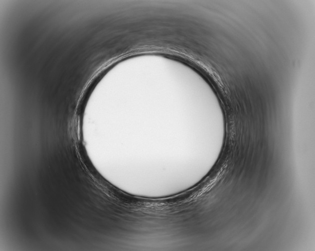 X0000095931509200802081206