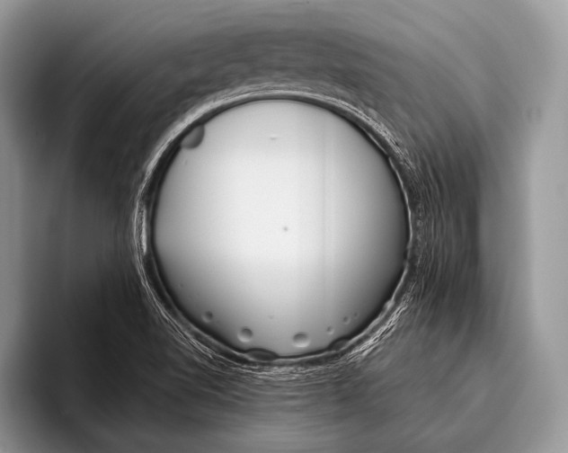 X0000095931510200802081206