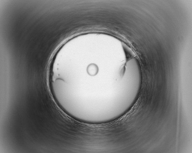 X0000095931512200802081206