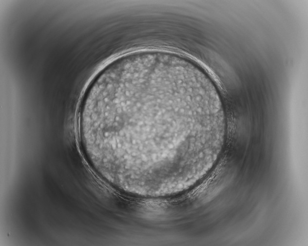 X0000095931514200802081206