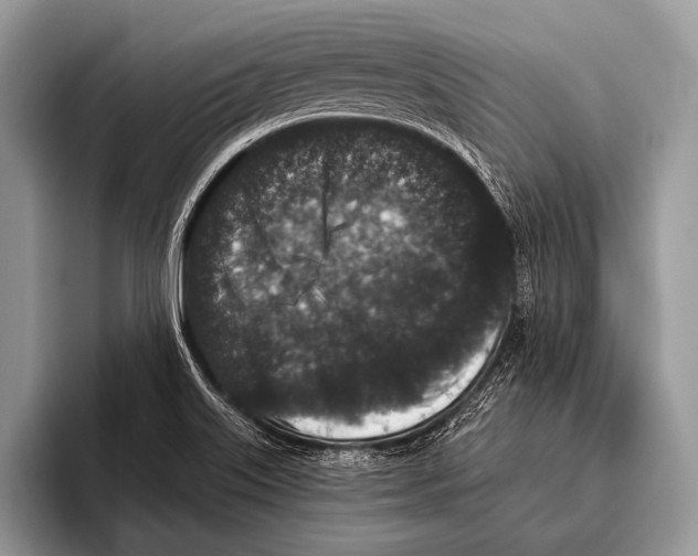 X0000095931515200802081206