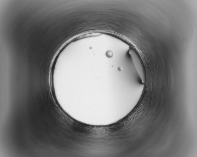 X0000095931516200802081206