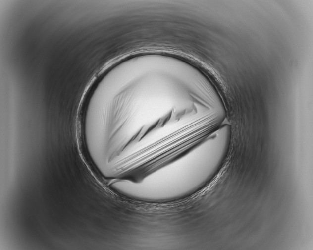 X0000095931517200802081206