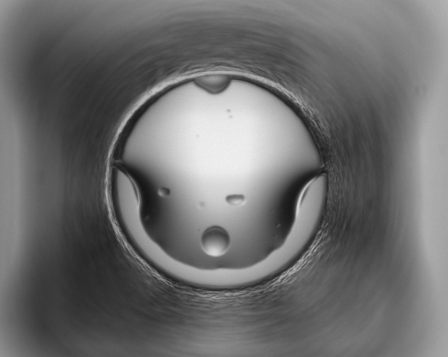 X0000095931518200802081206