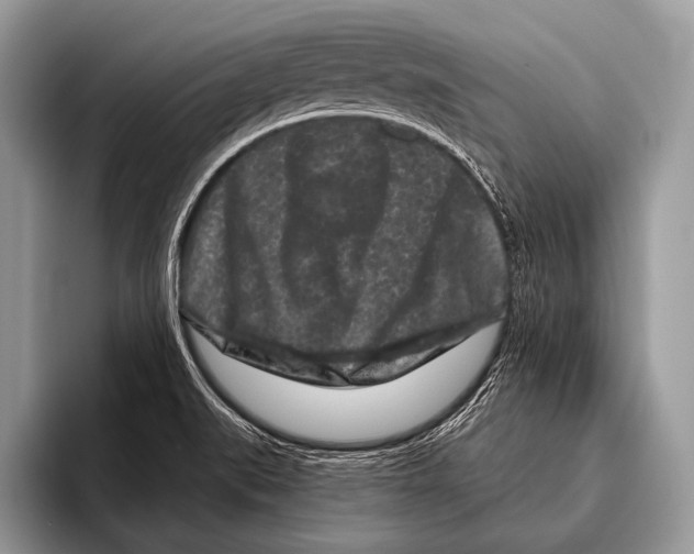 X0000095931519200802081206