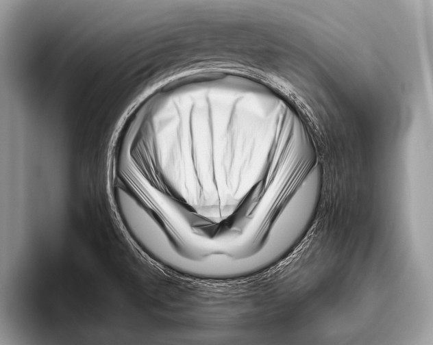 X0000095931520200802081206