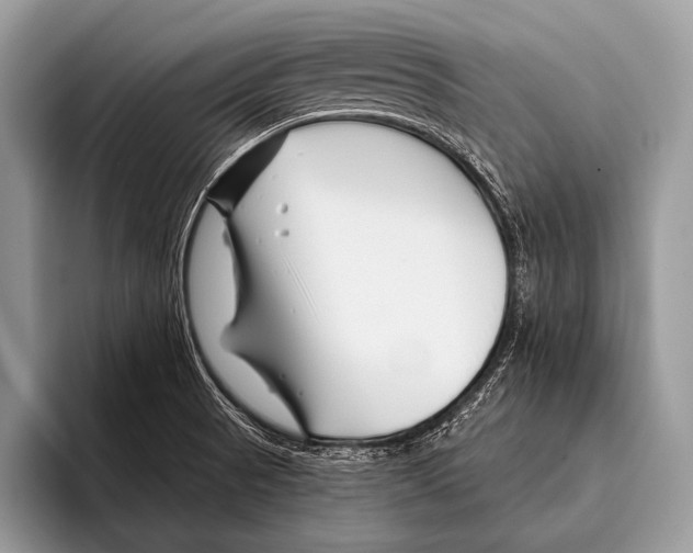 X0000095931521200802081206