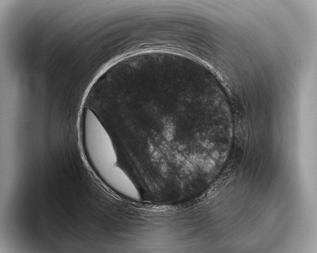 X0000095931522200802081206