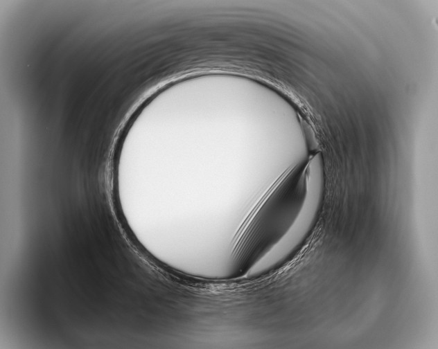 X0000095931523200802081206