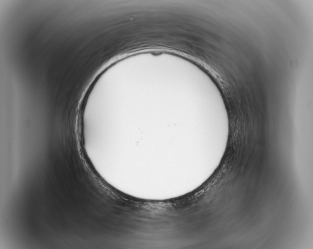 X0000095931526200802081206