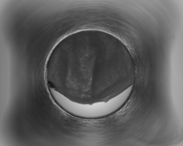 X0000095931527200802081206