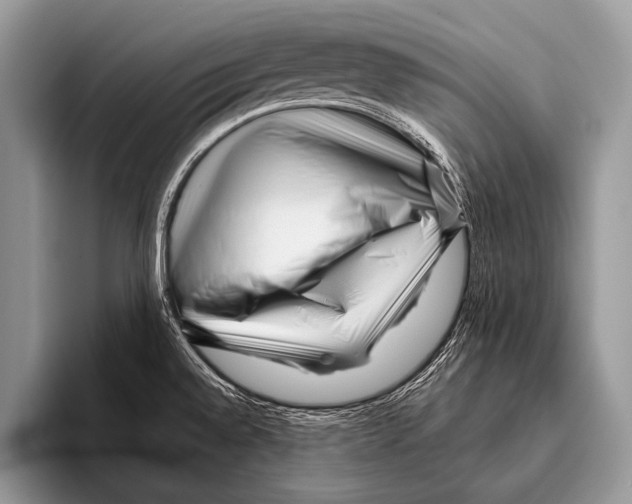 X0000095931528200802081206