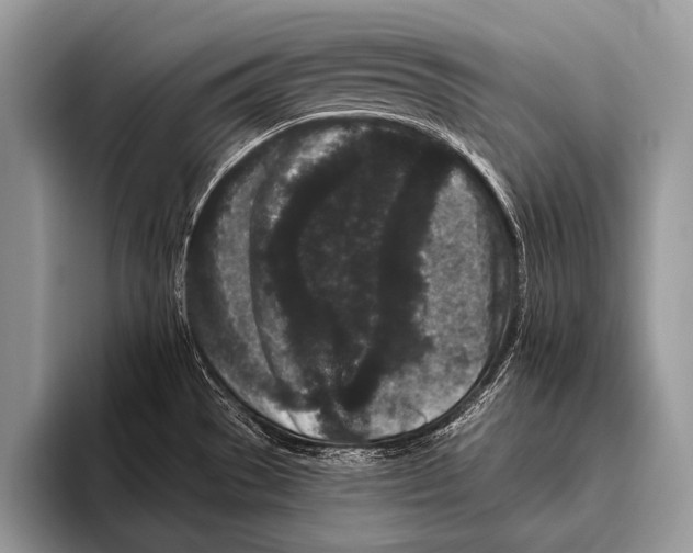 X0000095931529200802081206