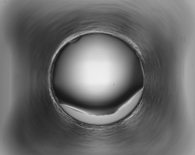 X0000095931530200802081206